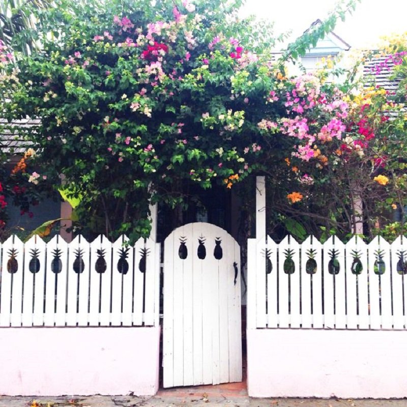 fence styles - fence designs - pineapple - white picket fence - photos - xtreme edeals